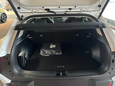 Kia EV4 HB 81 FWD EARTH UP TE WIC DWP DE SD