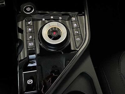 Kia Niro EV Inspiration WP DW TEC REX STL Paket