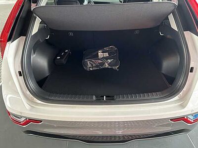 Kia Niro EV Inspiration WP DW TEC REX STL Paket