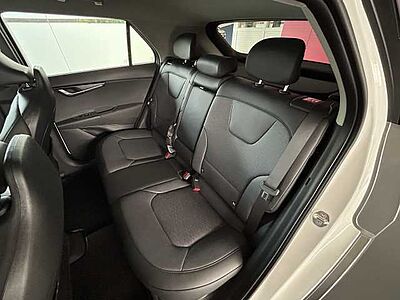 Kia Niro EV Inspiration WP DW TEC REX STL Paket