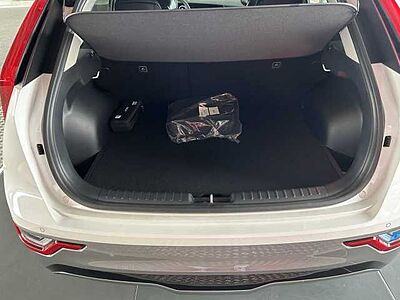 Kia Niro EV Inspiration WP DW TEC REX STL Paket
