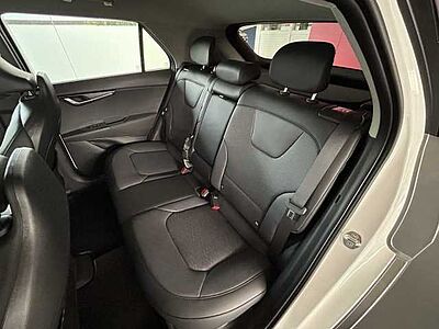 Kia Niro EV Inspiration WP DW TEC REX STL Paket